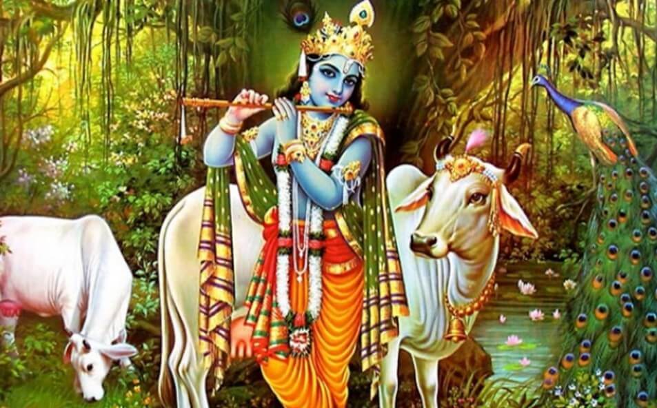 Lord Krishna avatar
